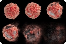 Changes in cell characteristics leading to death