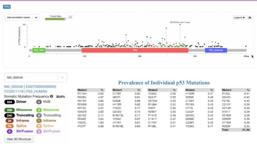 Prevalence of individual p53 mutations visual data