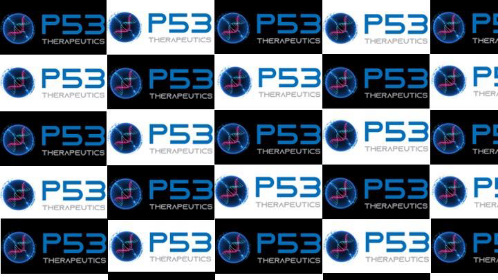 p53-BG-2x